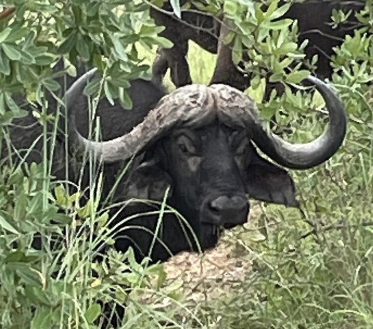 34cfaa3d 45d9 4340 9605 449ef1559e76 2