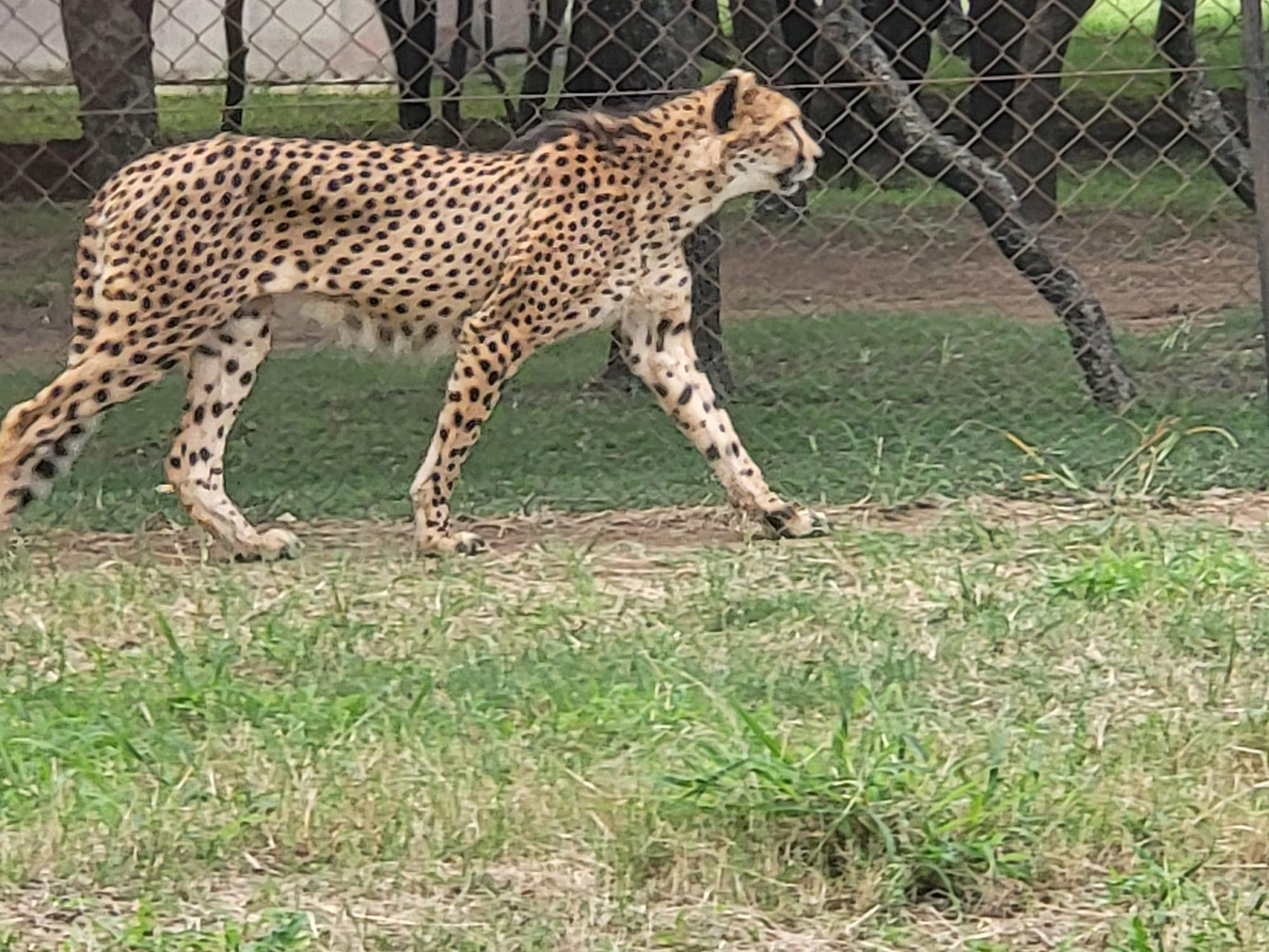 IMG 20240904 WA0087 min