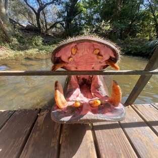 a69f6693 43ba 4807 a228 f2e0c9863ee1